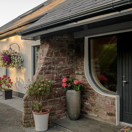 Ashville House B&B Tralee Exteriör bild