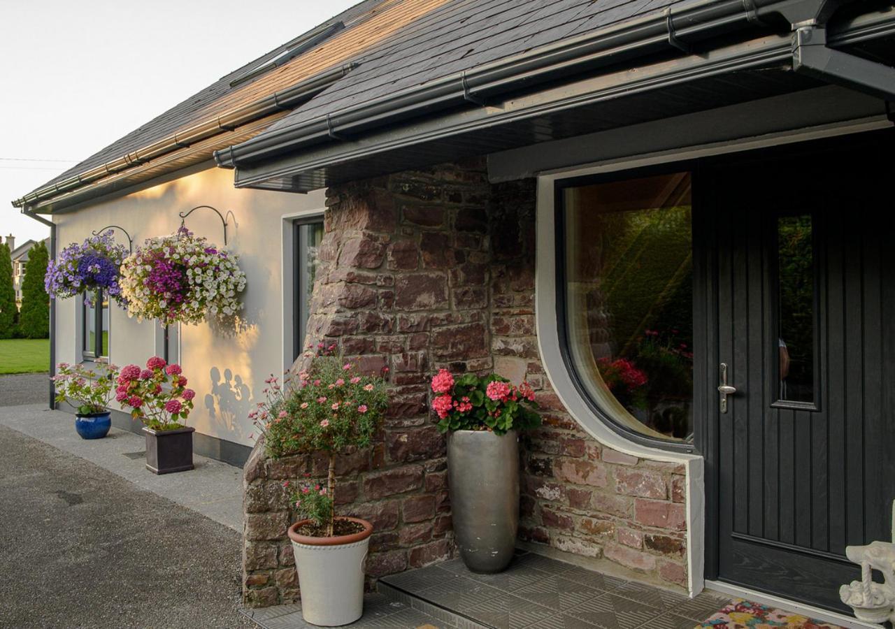 Ashville House B&B Tralee Exteriör bild